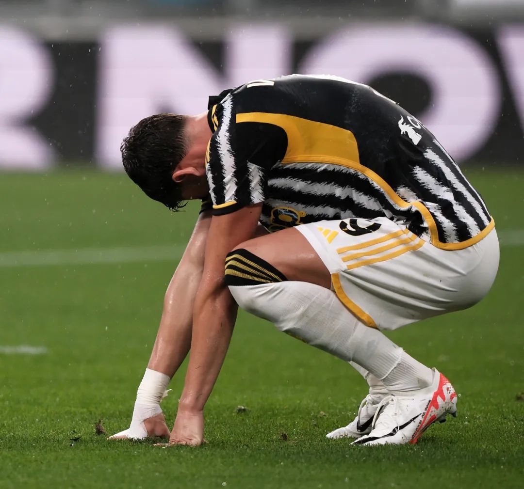 篮日益成熟 篮日益成熟